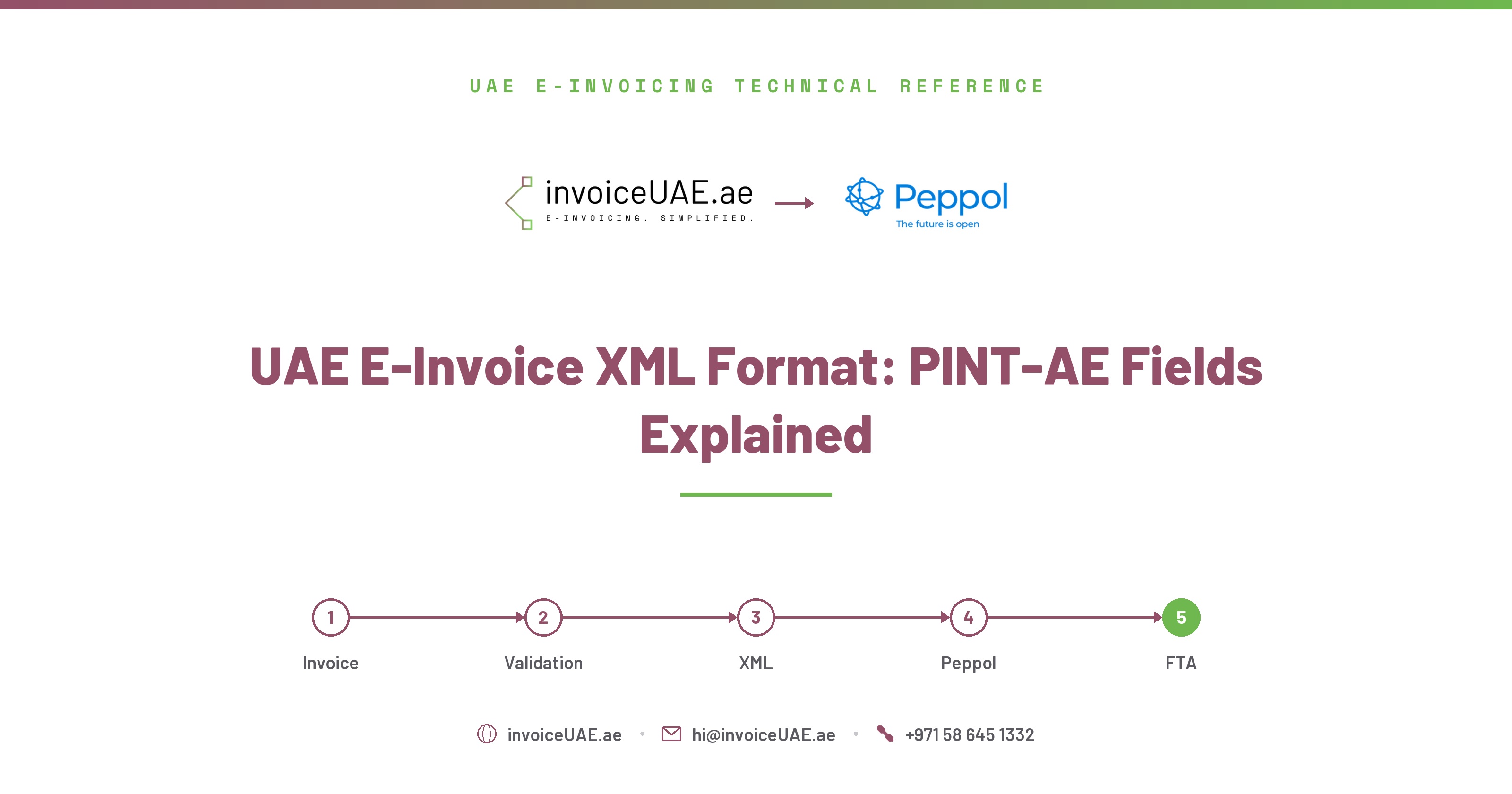 UAE E-Invoice XML Format: PINT-AE Fields Explained